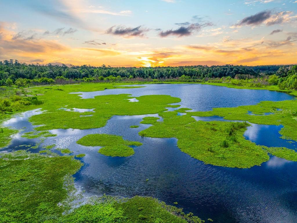 PEACOCK LAKE S/D - Residential