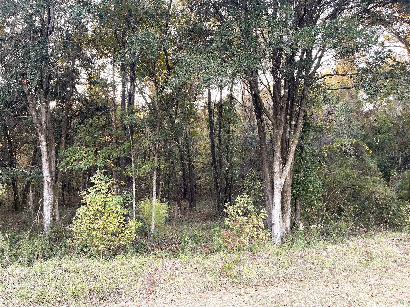 PRICE IMPROVEMENT!! Come and see this Beautiful over 3 acre lot at THE VILLAGE AT HIDDEN LAKES!! Bring your HORSES and other four-legged friends to this secure and GATED equestrian community. Ride your horse on bridle trails and your bicycle on private roads and trails packed with wildlife. Deed restricted with easy access to utilities. Part of this lot is flood zone X and is ready for your Home without the need for flood insurance!!! Electricity available at front of lot!! Close to Gainesville, Williston, and Ocala for shopping! Under half an hour to the World Equestrian Center!! Construct your dream home in one of Marion County's most desirable communities!