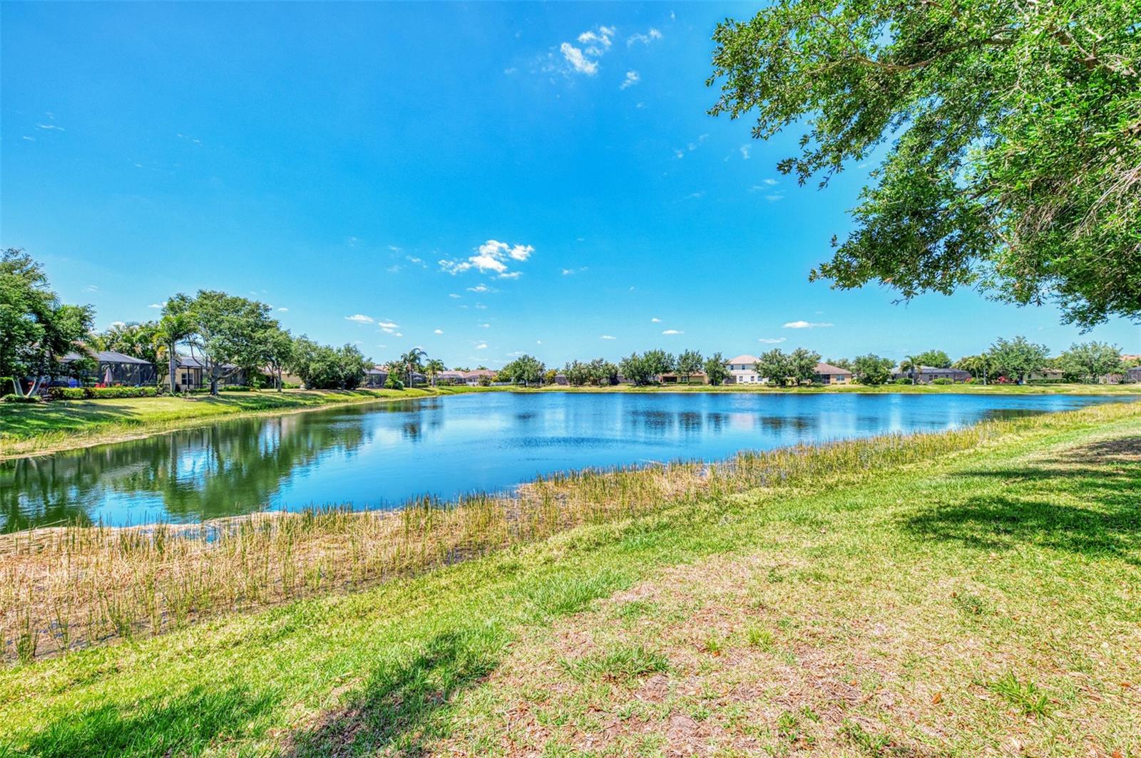 CENTRAL PARK SUBPHASE B-2A & B-2C - Residential