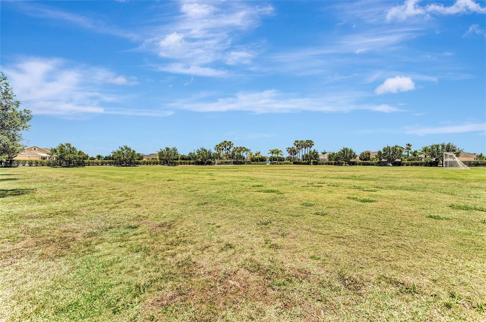 CENTRAL PARK SUBPHASE B-2A & B-2C - Residential