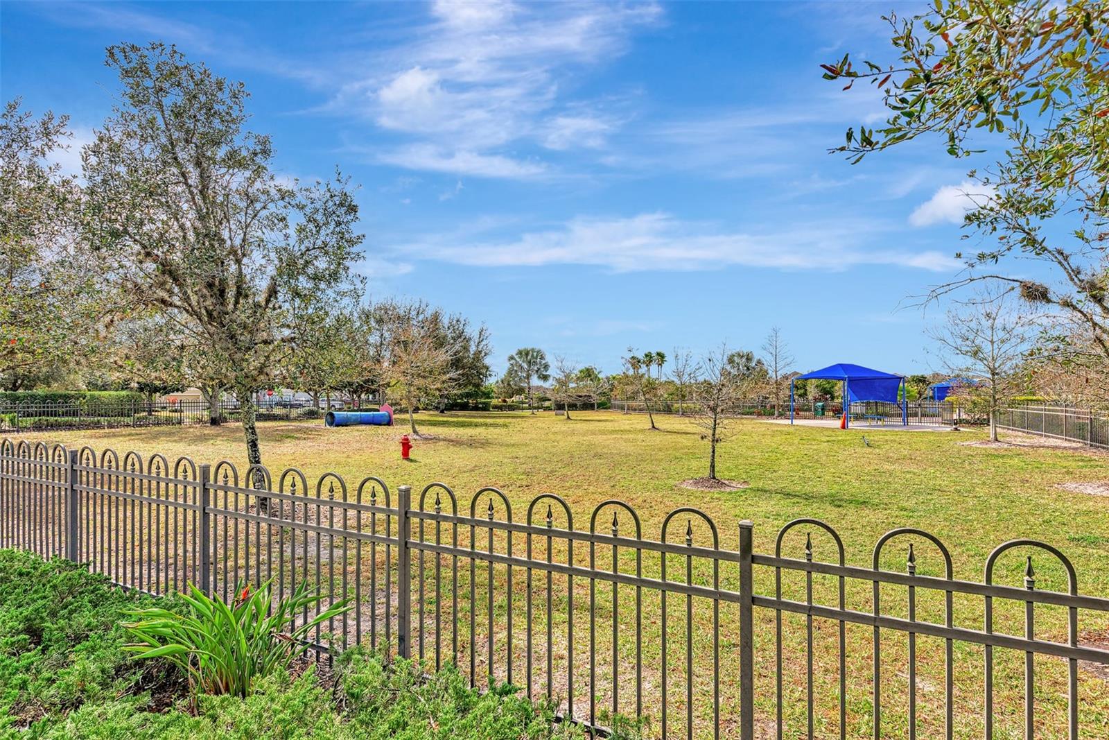 CENTRAL PARK SUBPHASE B-2A & B-2C - Residential