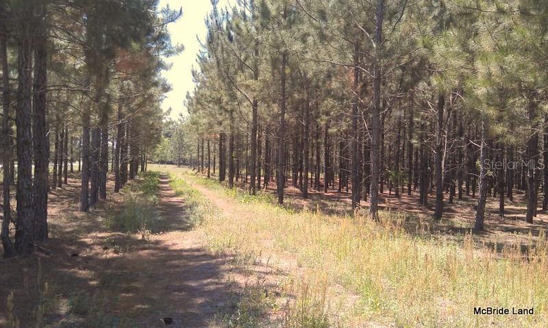 BLUE RUN RANCHES - Land