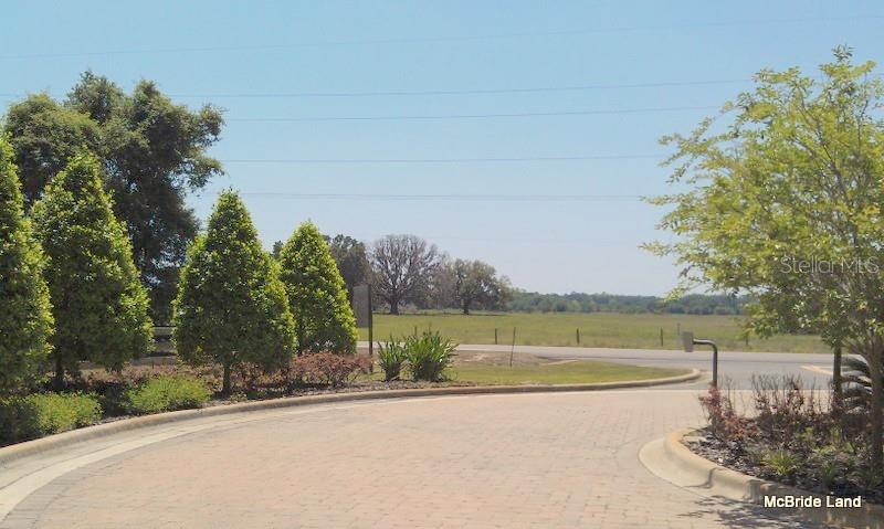 BLUE RUN RANCHES - Land