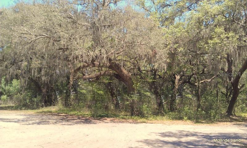 BLUE RUN RANCHES - Land