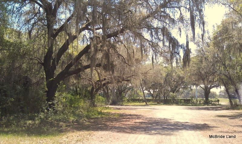 BLUE RUN RANCHES - Land