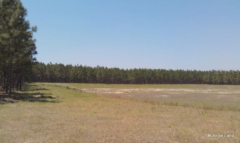 BLUE RUN RANCHES - Land