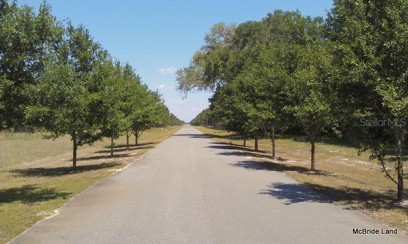 BLUE RUN RANCHES - Land