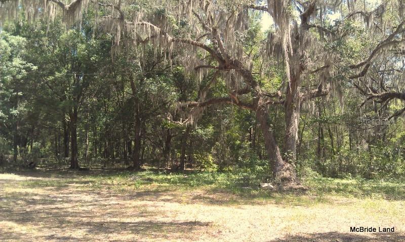 BLUE RUN RANCHES - Land