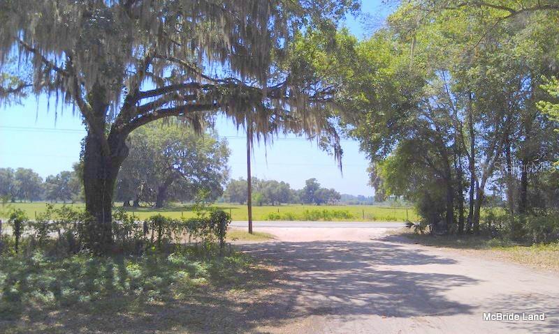 BLUE RUN RANCHES - Land