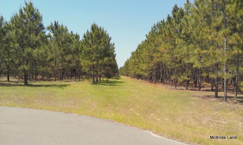 BLUE RUN RANCHES - Land