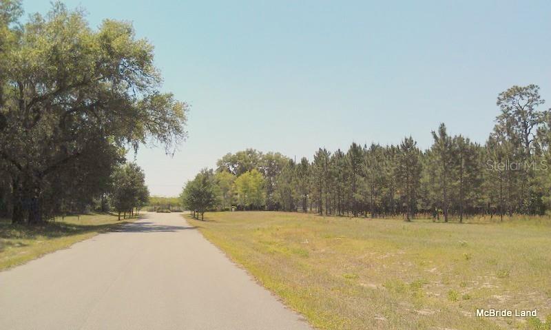 BLUE RUN RANCHES - Land