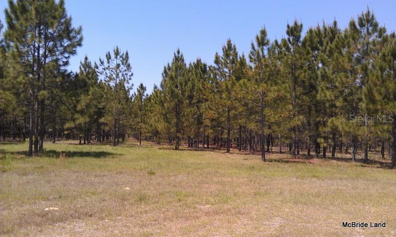 BLUE RUN RANCHES - Land