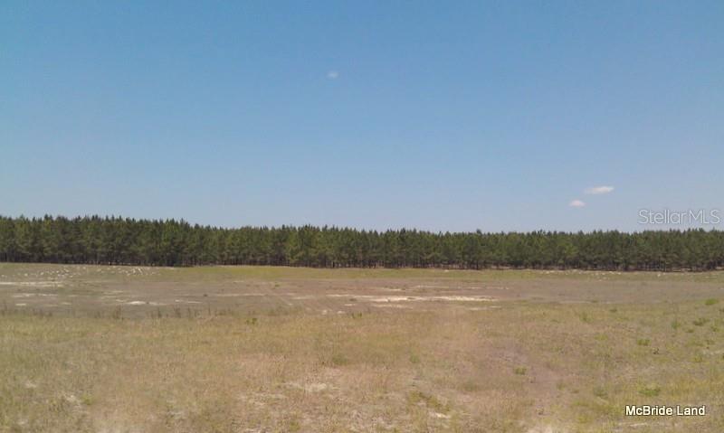 BLUE RUN RANCHES - Land