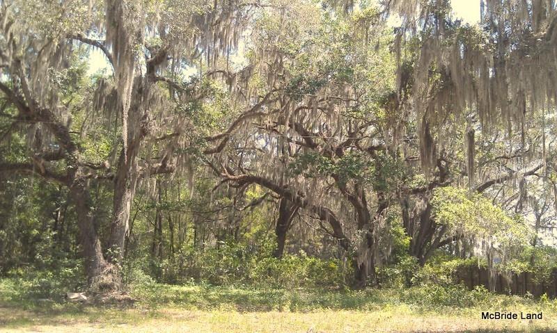 BLUE RUN RANCHES - Land