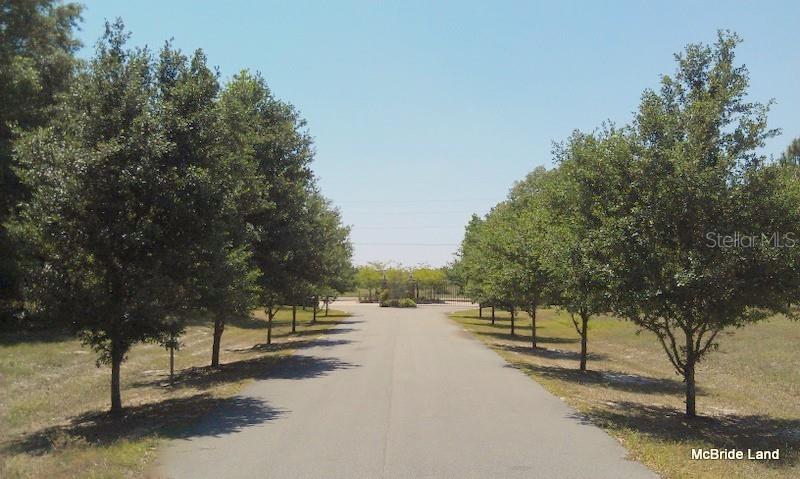 BLUE RUN RANCHES - Land