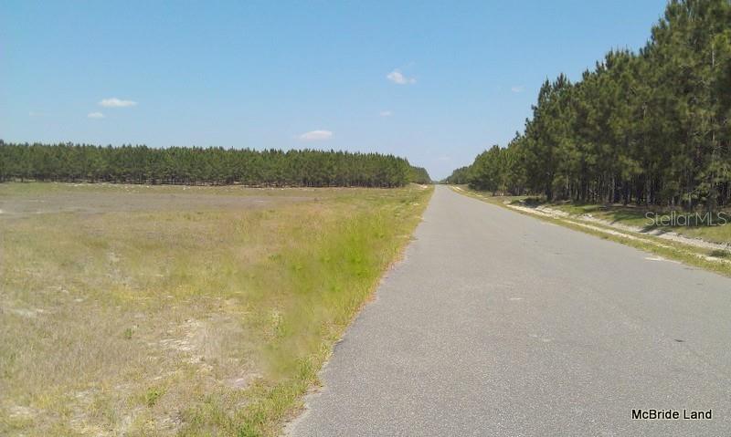 BLUE RUN RANCHES - Land