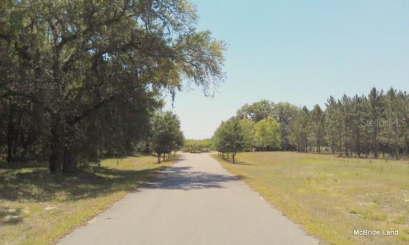 BLUE RUN RANCHES - Land