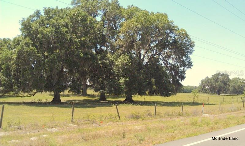 BLUE RUN RANCHES - Land