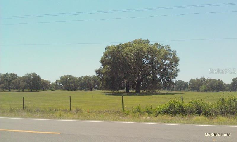 BLUE RUN RANCHES - Land
