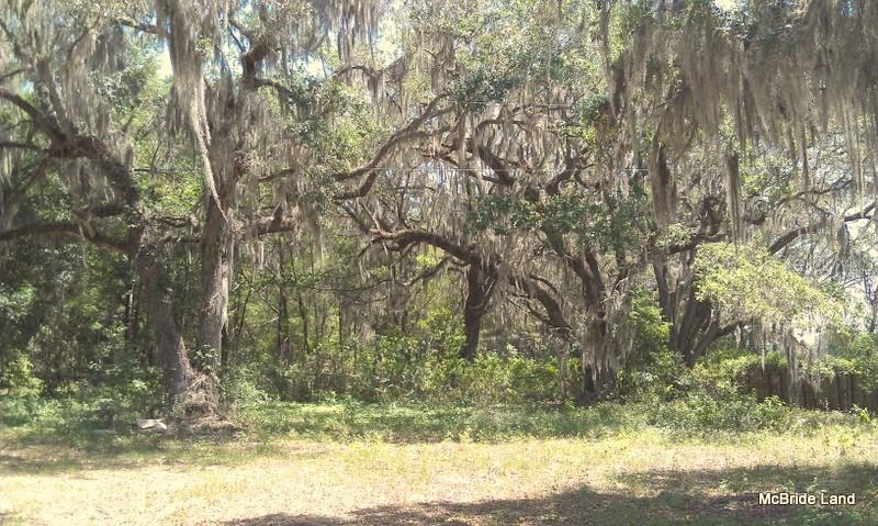 BLUE RUN RANCHES - Land