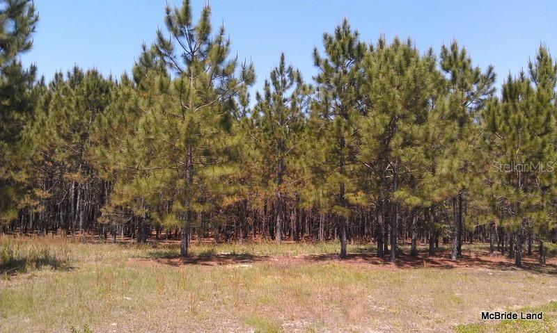 BLUE RUN RANCHES - Land
