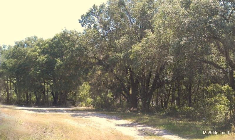 BLUE RUN RANCHES - Land