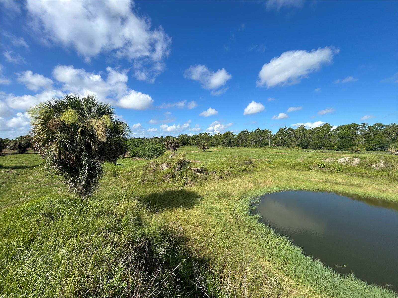 Discover the freedom to build without compromise on this exceptional 2.5-acre (up to 5 Acres available) cleared homesite. Offering a rare combination of space, privacy, and flexibility, this beautiful parcel provides the perfect canvas to create the lifestyle you've always envisioned (Plenty of Fill Dirt left around pond for your use!). Whether you're dreaming of a custom estate, private retreat, family compound, or a property with room for a detached workshop, RV garage, guest house, pool, or recreational amenities, this expansive acreage offers endless possibilities. The land has already been cleared, saving both time and expense while allowing you to begin planning your future immediately. Surrounded by the natural beauty and open spaces that make Southwest Florida so desirable, this property provides the peace and privacy of country living while remaining conveniently located near shopping, dining, schools, golf courses, boating, fishing, and everyday conveniences. Finding cleared acreage of this size is becoming increasingly difficult as development continues throughout the area. Opportunities like this are rare—offering the perfect balance of elbow room, investment potential, and the freedom to design a property tailored to your exact vision. Bring your builder, bring your plans, and bring your imagination. The possibilities are as expansive as the property itself. Build your dream. Create your legacy. Enjoy the space you've been searching for.