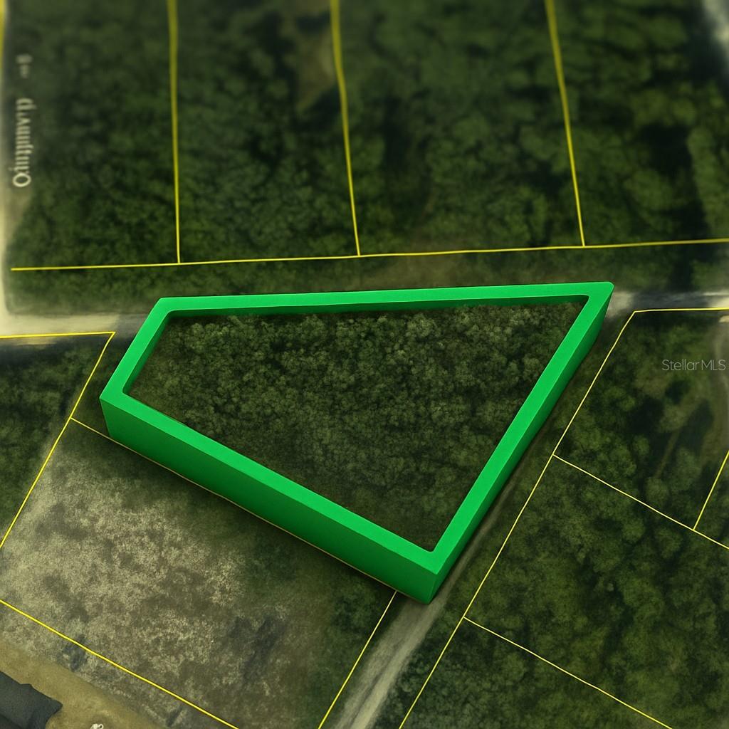 RIDGE MANOR ESTATE - Land