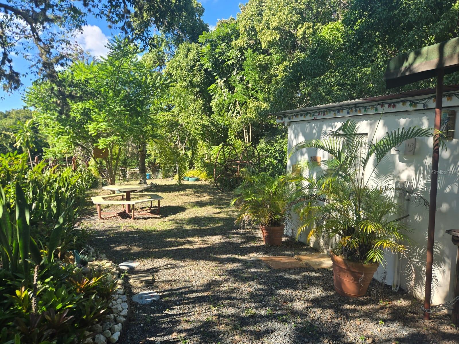 Excellent investment opportunity in Cabo Rojo, Llanos Tunas neighborhood, Las Magas sector. 3,121 square meters with a camper and bathroom on a beautiful lot with development potential for glamping, cabins, or campervans. Water and electricity services are already established and registered with the property registry and CRIM (Municipal Revenue Collection Center). Close to town, just minutes from Puerto Real, Buyé, Joyudas, and Boquerón.