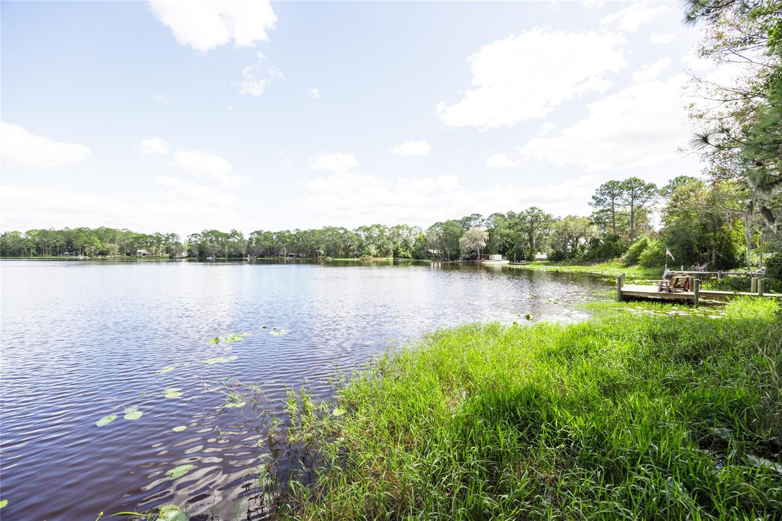 STAR LAKE FOREST - Residential