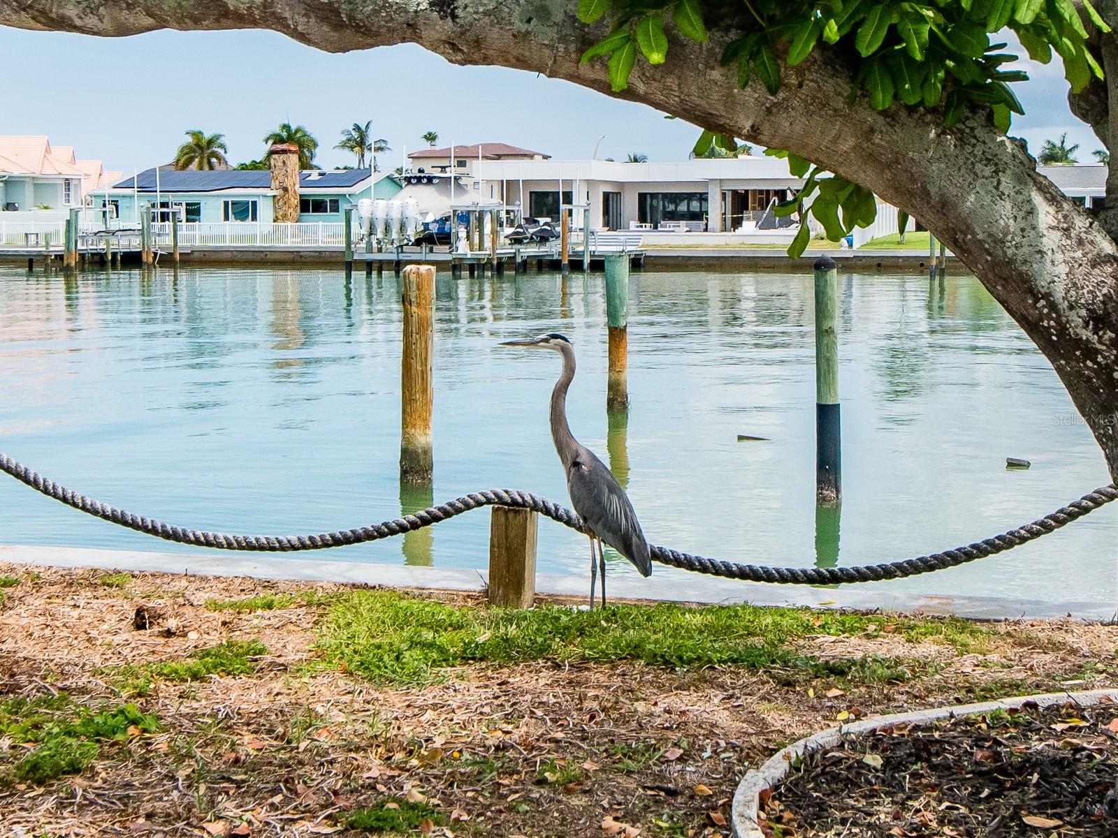 ISLE OF PALMS 2ND ADD - Residential