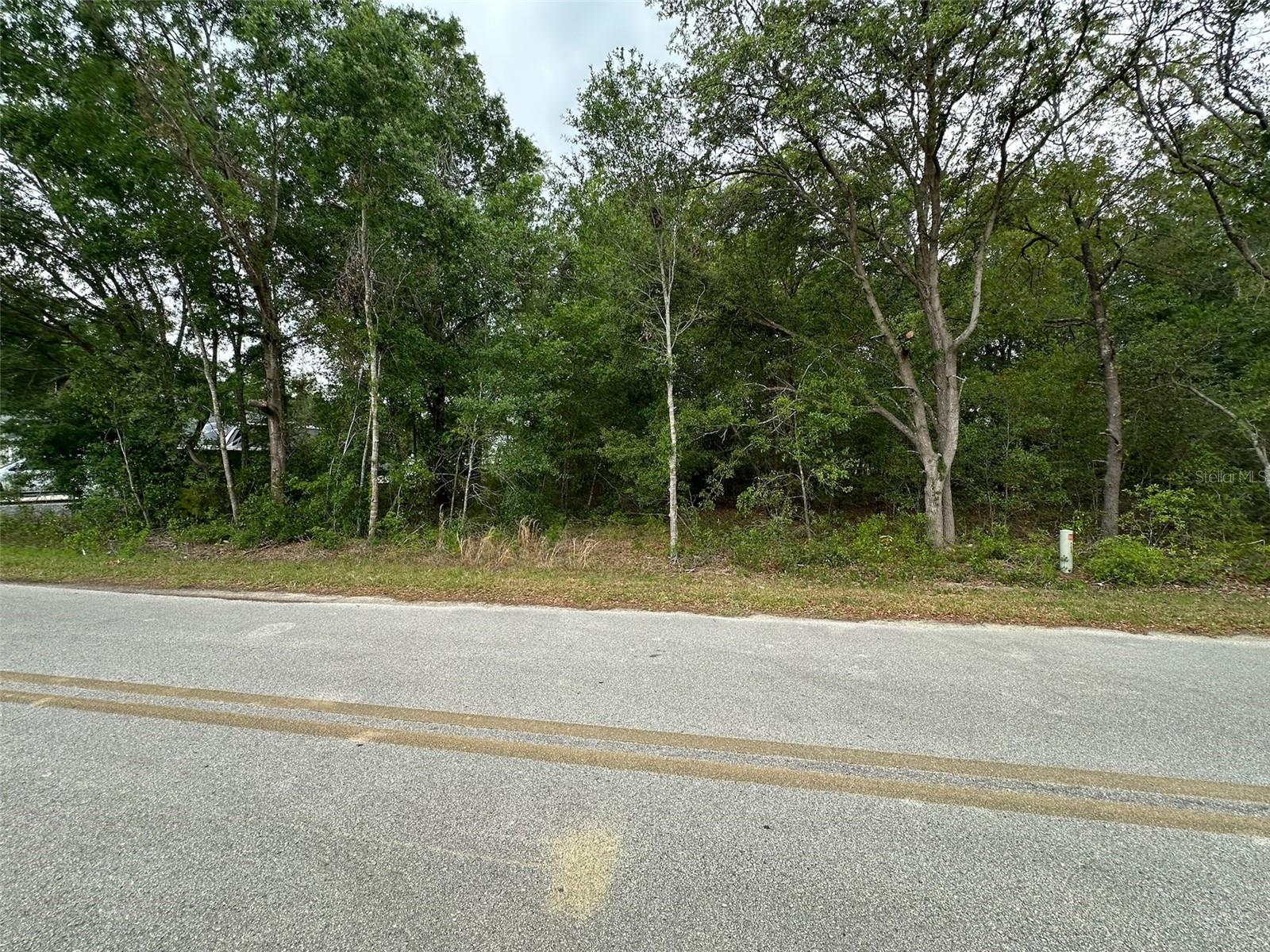 BELLEVIEW RIDGE ESTATE - Land