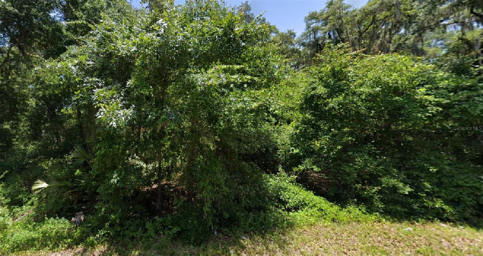 Great vacant lot!!!