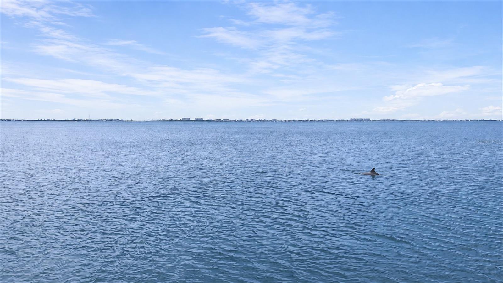 SYLVAN SHORES - Residential