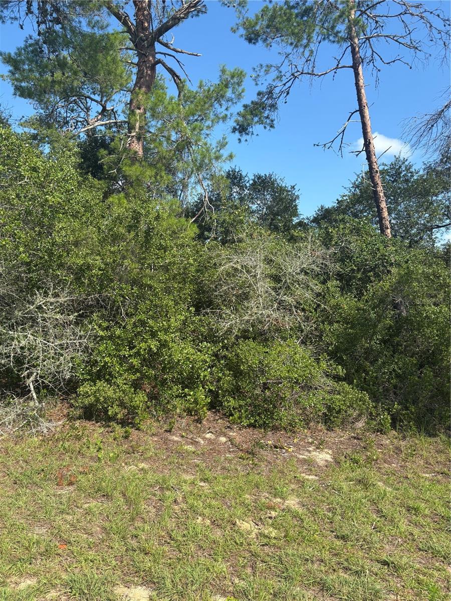 MARION OAKS UN 4 - Land