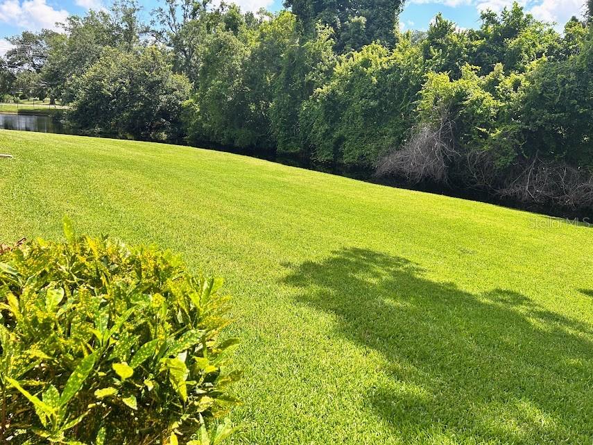 SUNNYBROOK CONDO 1 - Residential