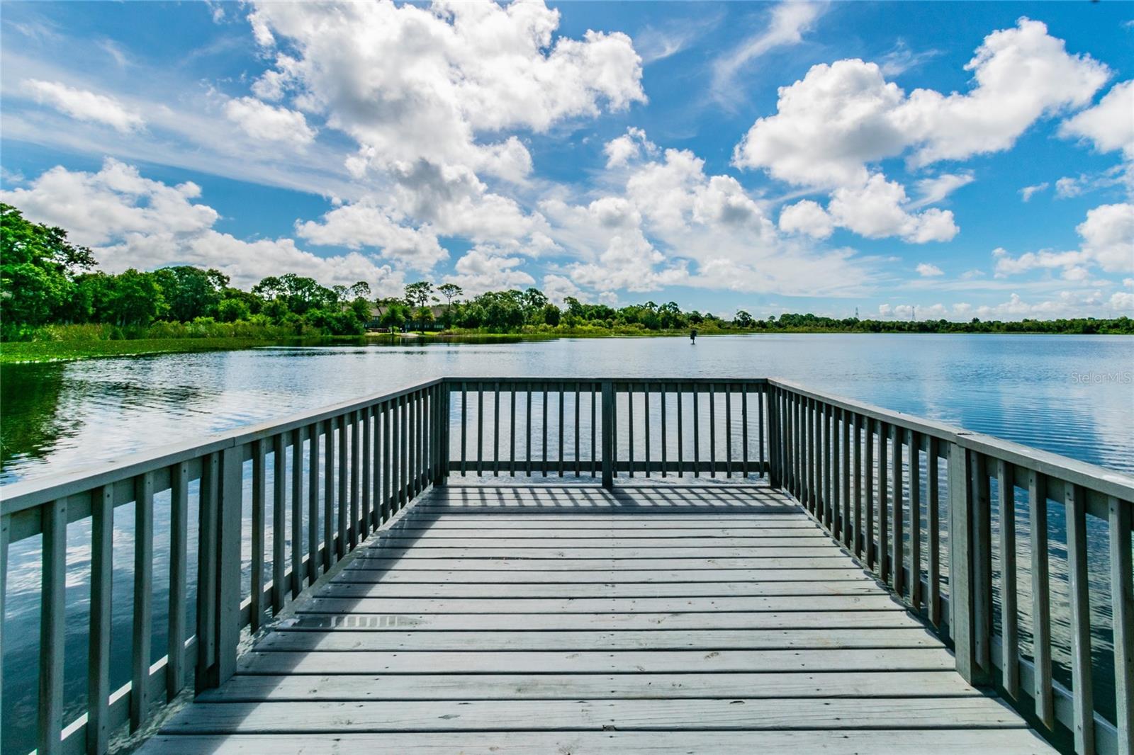 LAKE ST GEORGE-UNIT VII - Residential Lease