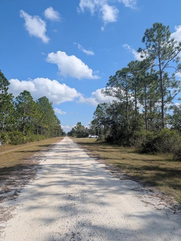 INDIAN LAKE ESTATES - Land