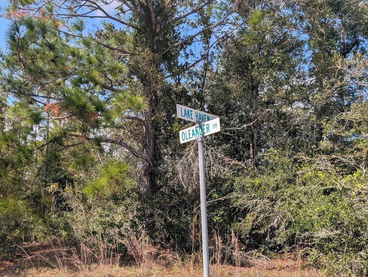 INDIAN LAKE ESTATES - Land