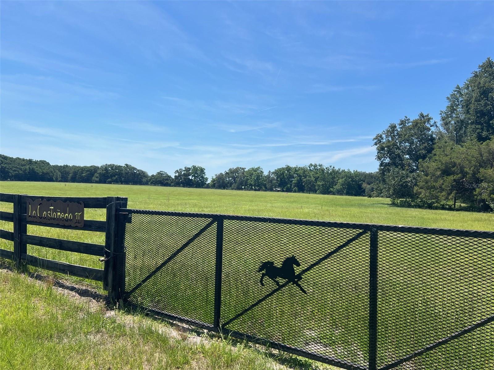 Welcome to Cedar Lane Plantation, a private gated community featuring just 12 exclusive parcels—and your opportunity to own one of them! Also listed as 20 acres, the sellers are willing to split it and sell 10 acres offering the perfect blend of open pasture and serene countryside, ready for your custom-built dream home. The property features four-board fencing along the front and a paved street, offering a welcoming and polished entry. With ample space for your horses, cows, or a hobby farm, this lot provides both beauty and function. Enjoy the peace and quiet of country living while still being conveniently located just minutes from High Springs, Gainesville, and Lake City. Zoned for High Springs Community School and Santa Fe High School, it’s an ideal place to settle into a more relaxed lifestyle. Outdoor lovers will appreciate being close to the famous rivers and natural springs the area is known for, as well as the charm of historic downtown High Springs, with its shops, restaurants, and everyday amenities. Don’t miss this rare opportunity to build your dream estate in one of the area's most desirable rural communities. Schedule a visit and experience the tranquility and potential of Cedar Lane Plantation today!