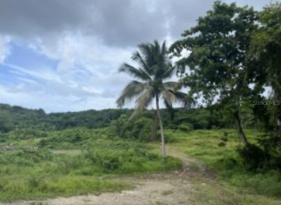 25-Cuerda Lot in Bo. Zarzal with Ocean Views – Near Wyndham and Hyatt Resorts

This 25-cuerda (approximately 24.3-acre) parcel is located in Bo. Zarzal, Río Grande, just minutes from the Wyndham Grand Rio Mar and Hyatt Regency Grand Reserve resorts. The property offers spectacular views of the Atlantic Ocean, making it an ideal site for eco-tourism or hospitality development.

With easy access via main roads, this land presents excellent potential for projects such as an eco-lodge, boutique hotel, or renewable energy development. Its location combines natural beauty with proximity to high-end tourism infrastructure, offering a strategic advantage for investors and developers.

Additional acreage may be available for purchase, offering the opportunity to expand the project footprint if desired.

This is a rare investment opportunity in one of Puerto Rico’s most sought-after coastal areas.