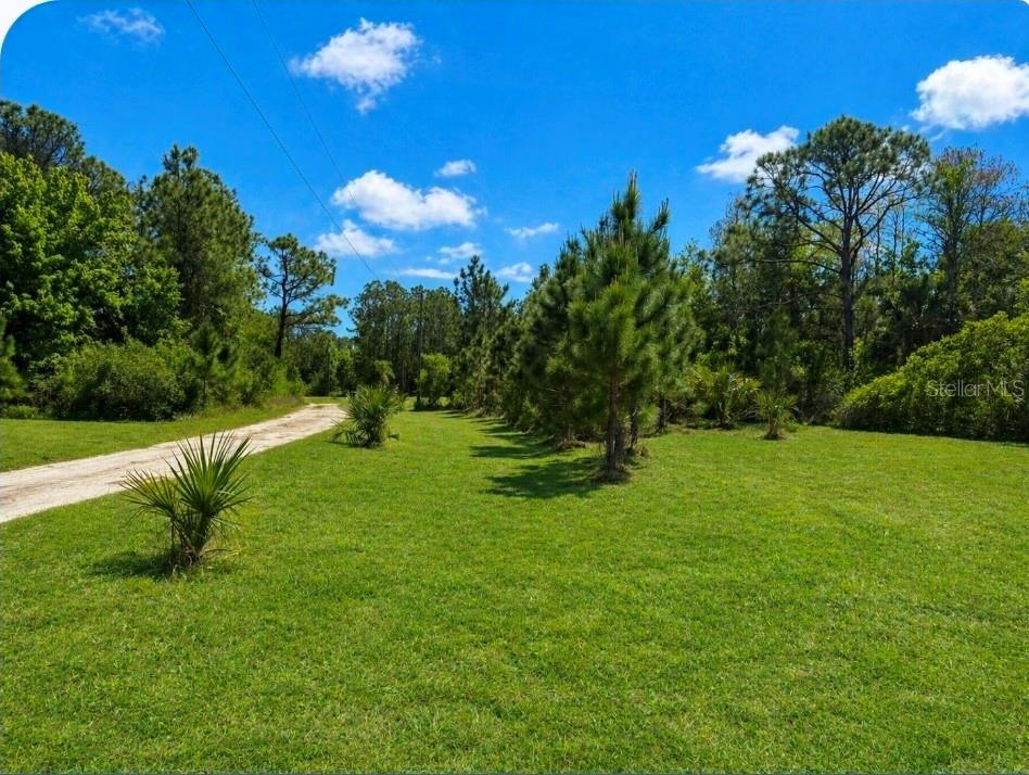 GLENCOE FARMS - Land