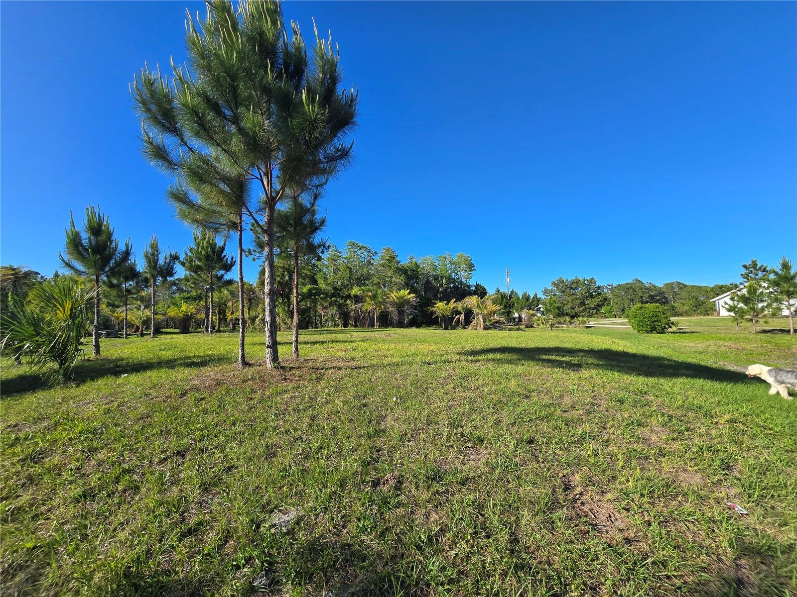 GLENCOE FARMS - Land