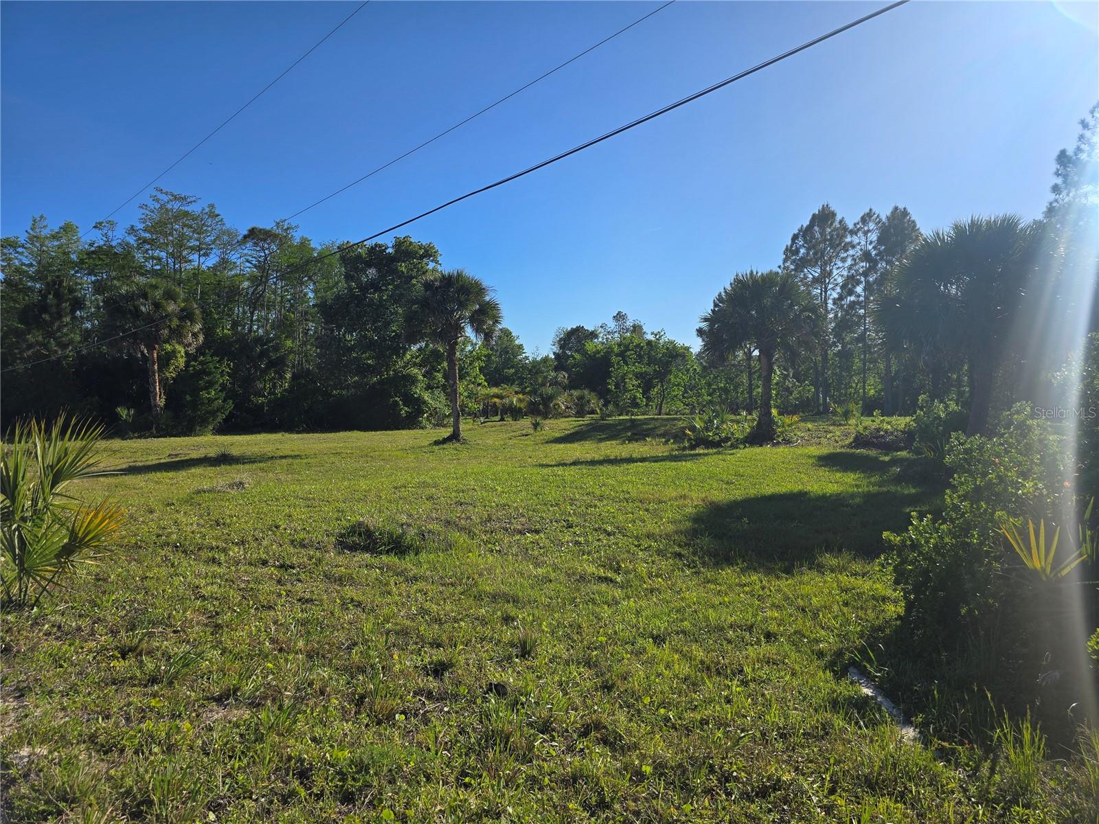 GLENCOE FARMS - Land