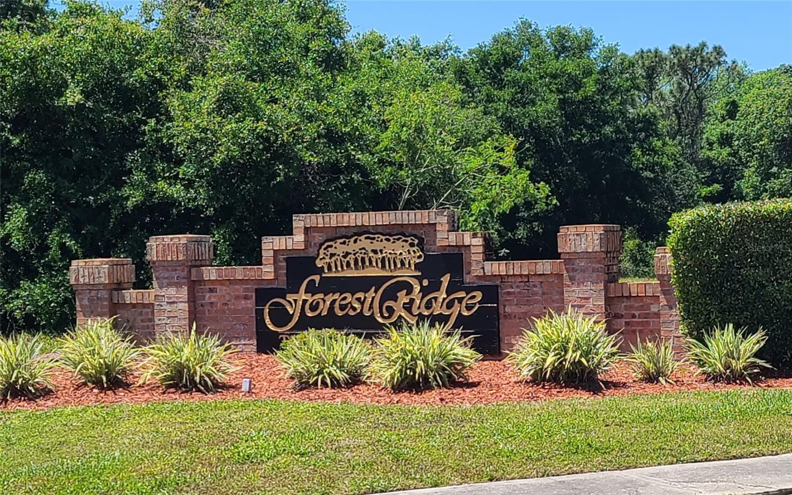 FOREST RIDGE - Land