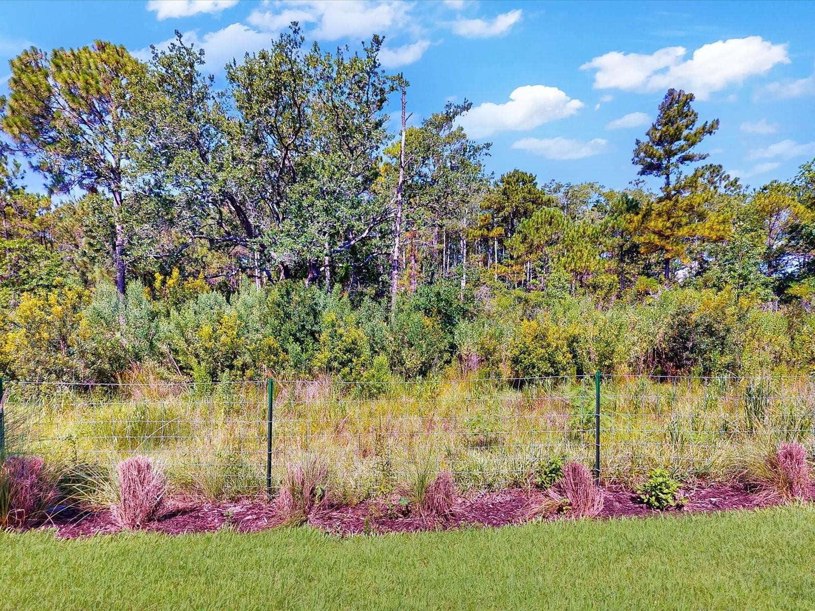 DEL WEBB SUNBRIDGE PH 2A - Residential