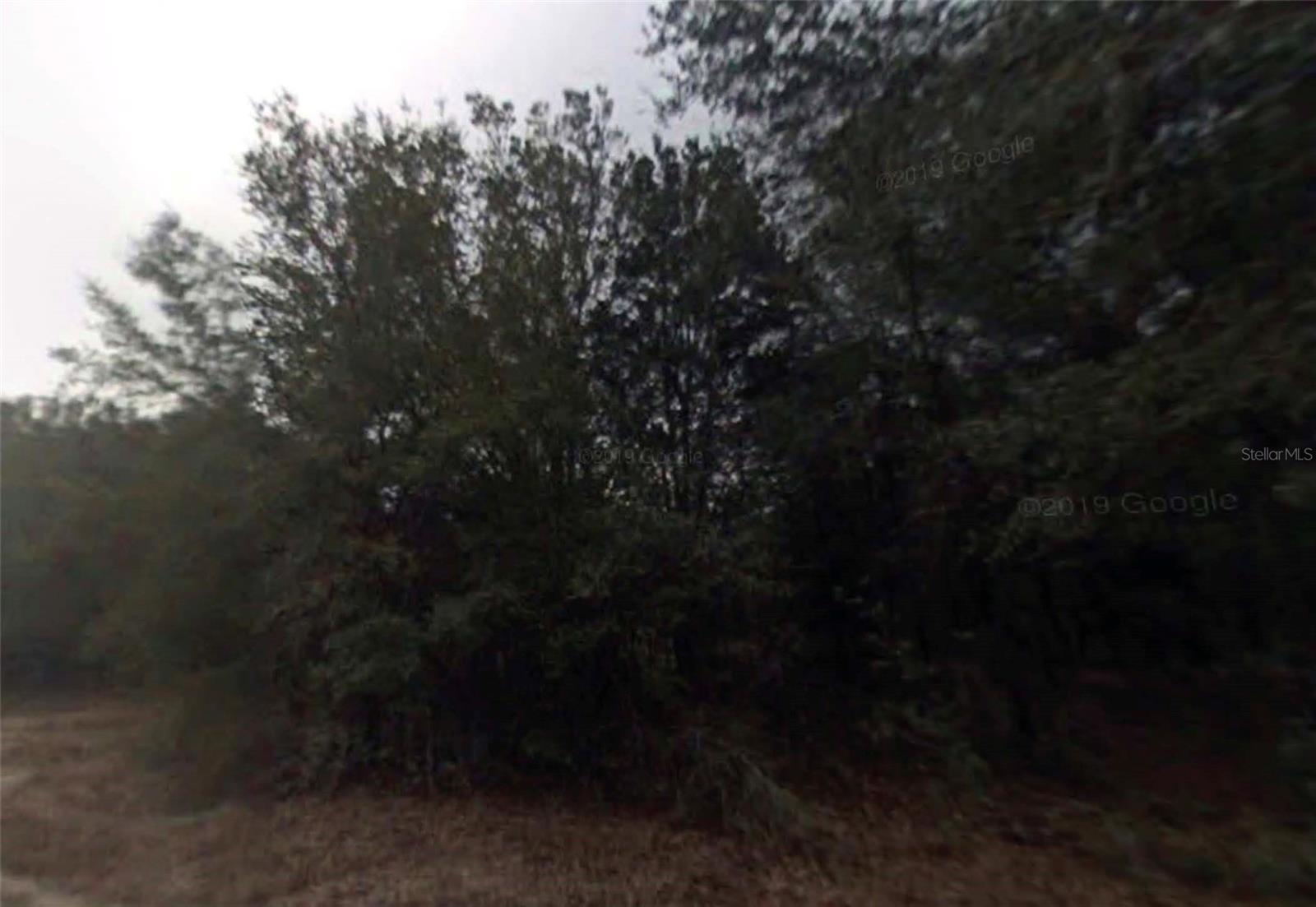 Opportunity to purchase one of three adjacent lots on Longwood Ave in Inverness Acres. This parcel is approximately 10,200 sq ft, with two
neighboring lots also available, ideal for building, expanding, or securing multiple parcels for future investment. Offered at $13,000 individually,
with seller offering discounted pricing of $31,000 for all three lots combined! Great opportunity to control multiple side-by-side lots in a growing
area of Citrus County. All information is deemed reliable but should be independently verified.