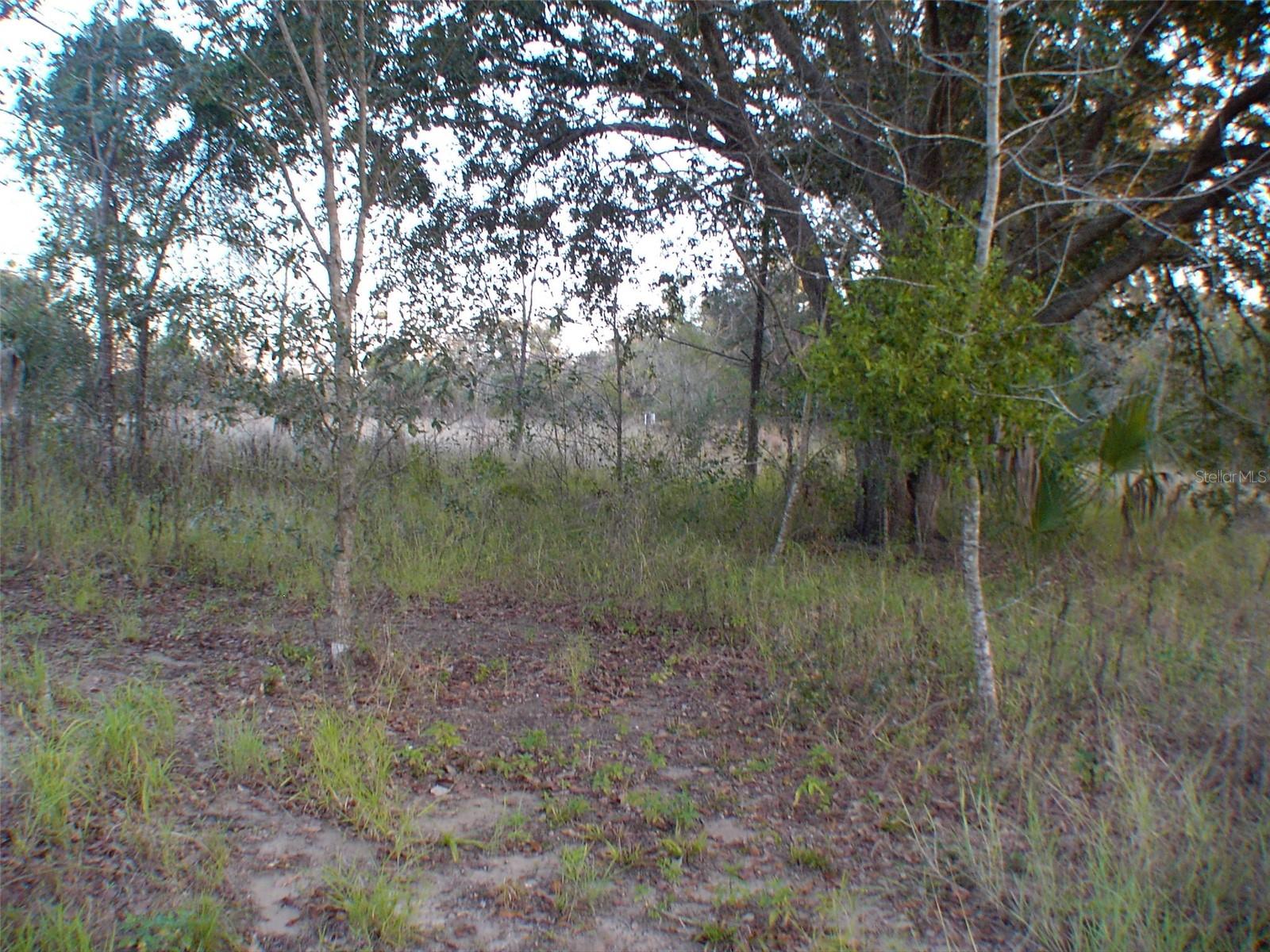 Oversized lot close to The Villages about 4 miles, Cash Only. Plenty of Shopping located in Central Florida about  1 1/2  hours from Orlando and the Disney Parks. Buildable Lot, Flat not in Flood Zone. Country setting. Possible Additional lot available.