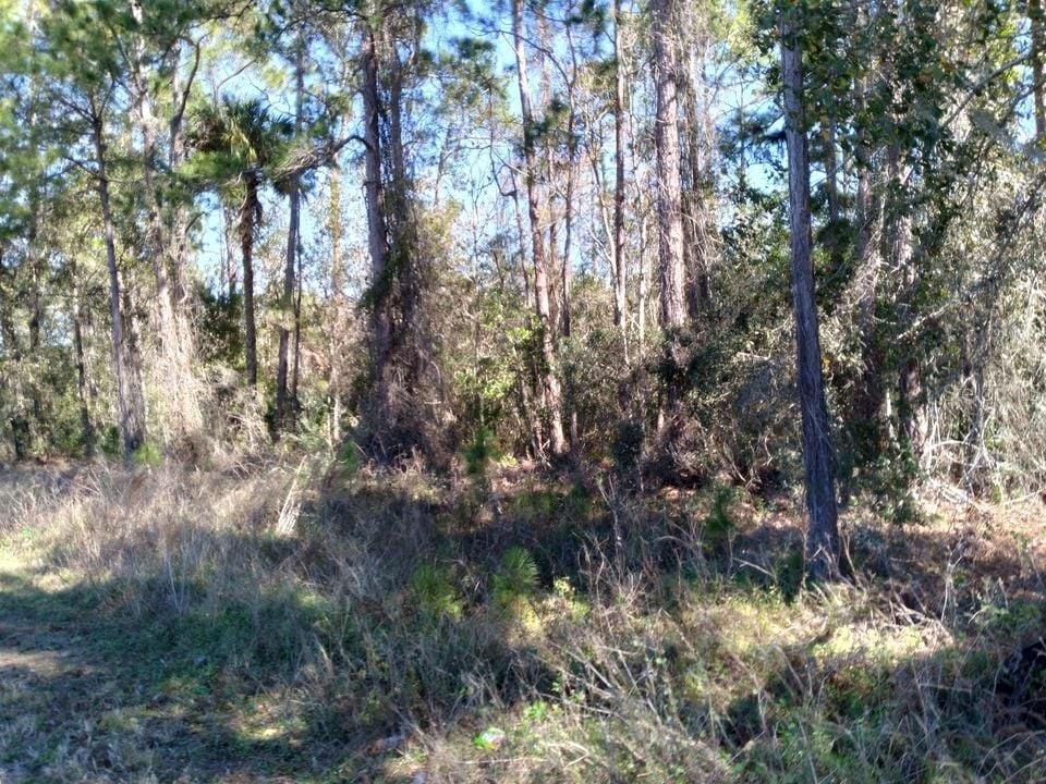 land for sale in Polk City 2 lots one price  one lot is 1 acre the other is 0,43 acres great location closet to route 33 built your dream home or bring your mobile home very private location