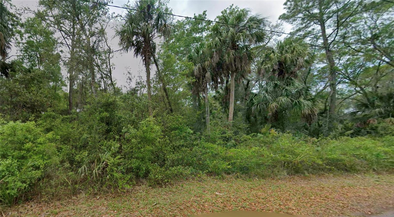CEDAR LAKE ESTATES - Land